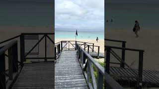 First Day At The Beach