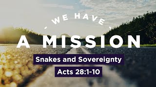 Snakes and Sovereignty // Acts 28:1-10