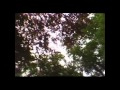 Psysex - LSDance (LOUD Remix) VideoArt !!!