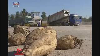 A Agricultura Tradicional e a Agricultura Moderna
