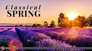 Spring Classical Music Spring Classical Music