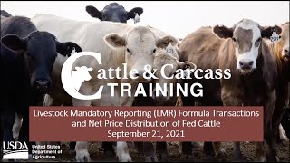 Usda Cattle And Carc Training Lmr Formula Transactions And Net Price Distribution Of Fed Cattle