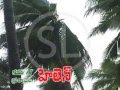 Razole Konaseema Egdt Helen 22 11 2013