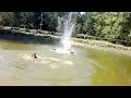 Crazy Redhead Jumps Into a Pond!!!