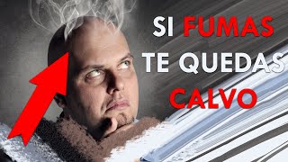 Si FUMAS te quedas CALVO