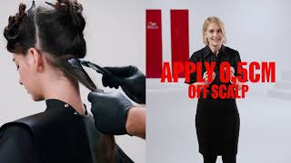 Discover Smoothfiller Part 2 The Service Wella Professionals