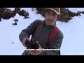 Dev Gibi Azılı Domuz Avı Wild Boar Hunting