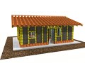 guadua