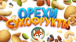 Про Орехи И Сухофрукты Детям За 3 Минуты. 🌰 Познавательное Видео Про 15 Орехов И Сухофруктов.