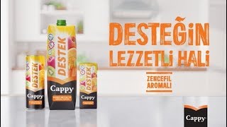 Cappy Destek