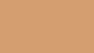 12 Hours Brown Screen 4K Background, Screensaver, Mood Light For Monitor, Tv. Buff Brown Daa06D