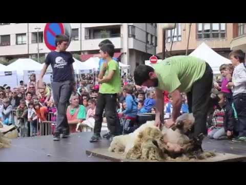 Ordiziako Artzain Eguna
