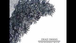 Watch Dead Swans Lines Of Seperation video