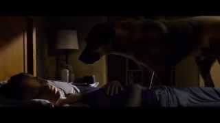 The Lazarus Effect Trailer