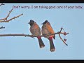 GOD bless this birdie.