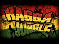 RAGGA JUNGLE - Drum n Bass Mix (v.2)