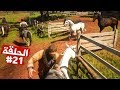 إقتحام إسطبل وسرقة أفضل الخيول تختيم لعبة ريد ديد ريدمبشن 2 الحلقة 21 | RDR II Walkthrough إقتحام إسطبل وسرقة أفضل الخيول تختيم لعبة ريد ديد ريدمبشن 2 الحلقة 21 | RDR II Walkthrough