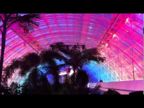 crystal bridge okc