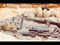 High Standard M16 A2  .223 Remington Rifle  Images