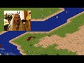Cheat Codes in AoE2