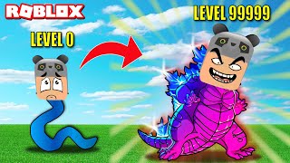 Küçük Olup Geliş Ve En Güçlü Hayvana Dönüş - Panda Ile Roblox Animal Evolution Simulator