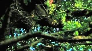 UK Film 'Hollow' Trailer Premiere