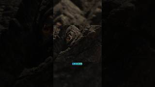 Godzillas Hidden Weaknesses Eyes & Neck Exposed