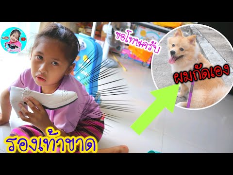 น้องเกลลี่ | รองเท้าขาด หมากัด ทำไงดี