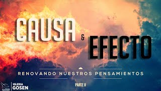Causa Y Efecto Pt. II