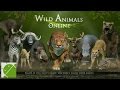 Wild Animals Online - Android Gameplay HD