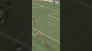 F4Z9Gj0G4BU Video Image
