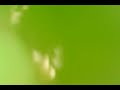 the crash.AVI