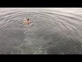 Jumping from the bridge!