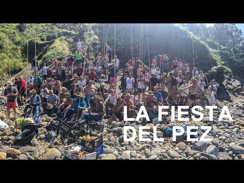 Video über das Fischfestival