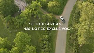 Barrio Los Guayabos