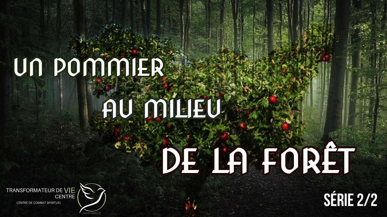 UN POMMIER AU MILIEU DE LA FORÊT - Série 2/2