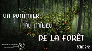 UN POMMIER AU MILIEU DE LA FORÊT - Série 2/2