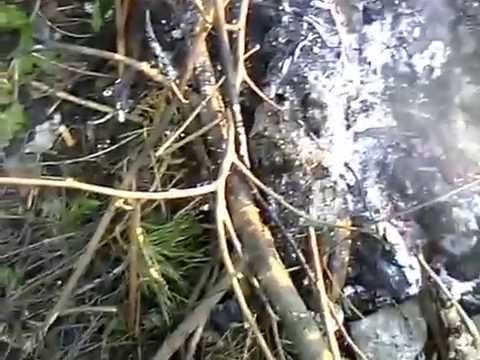 Песня картошка скачать