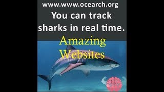 Useful Websites less known #learn #knowledge #education #technology #useful #help