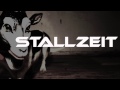 Stallzeit Video preview