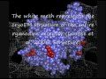 Cardiac Arrhythmia Origin Of Impulse | RM. Cardiac Arrhythmia Origin Of Impulse | RM.