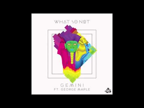 Gemini Video