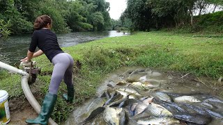 Top Videos: Fishing Techniques, Unique Fishing, Catch A Lot Of Fish, Go To Sell Fish At Market