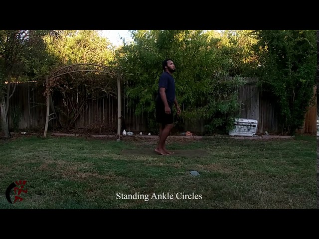 Standing Ankle Circles