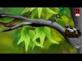 Malayalam Cartoon For Children Kittu Animation Movies Full Movies Malayalam Malayalam Cartoon For Children Kittu Animation Movies Full Movies Malayalam