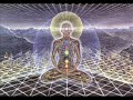 The World Wide Web & The Millennium (Terence McKenna) [FULL]