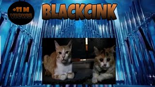 BLACKPINK - 'Kill this love' M/V || Parody cat (BLACKCINK)#Lui #parodycat #black