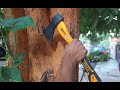 Axe for Wood Cutting | Single Hand Axe | Best Camping Axe | Hard Steel Axe