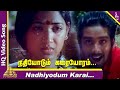 Nadhiyodum Karai Video Song | Avaram Poo Tamil Movie Songs | Vineeth | Nandhini | Ilayaraja
