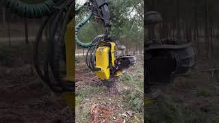 How To Brutally Cut A Tree With The 1270G Harvester #Harvester #Wood #Tree #Viral #Johndeere #Love
